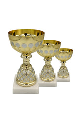 CTS 305 | SET de 3 Cupe Sportive - TrophyShop